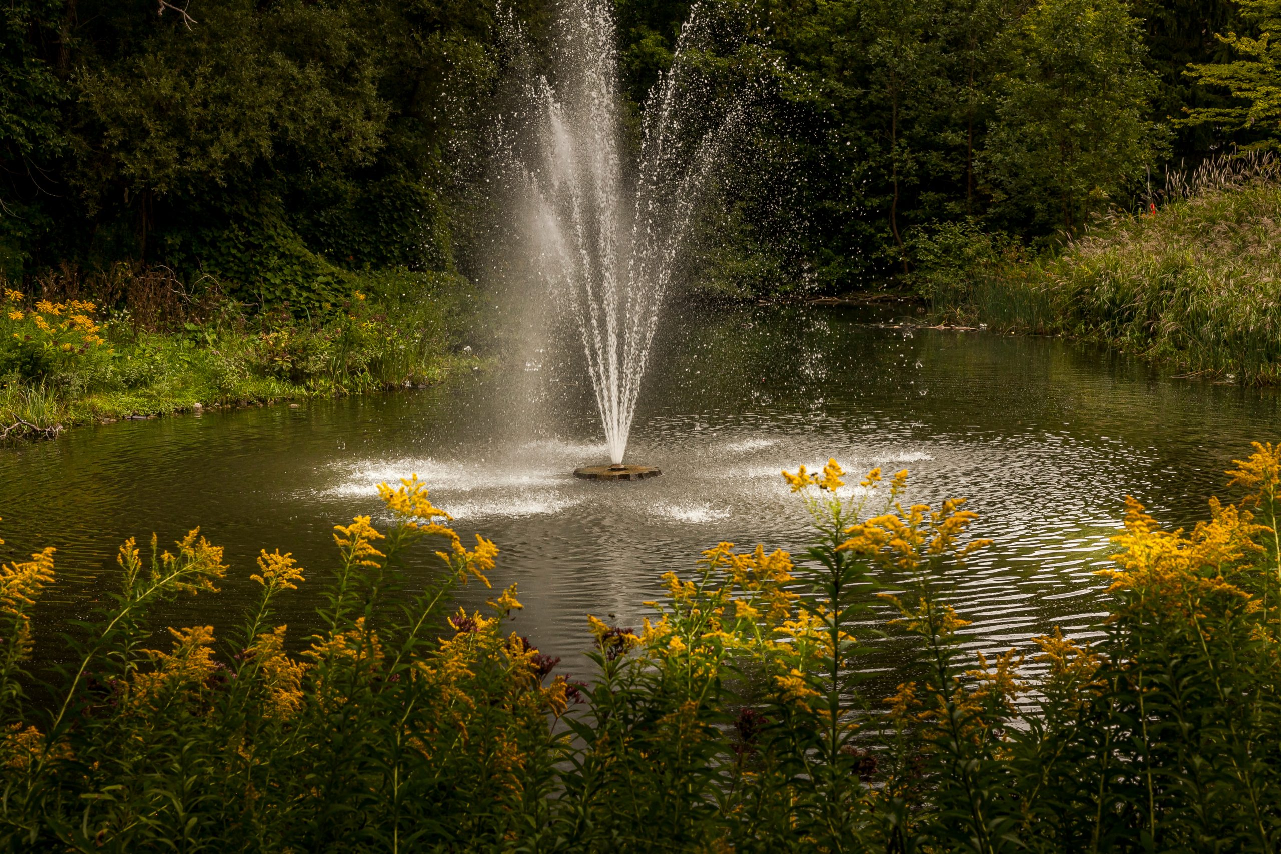 Water fountain at Toogood Pond Park in Unionville Markham, Ontario, Canada 